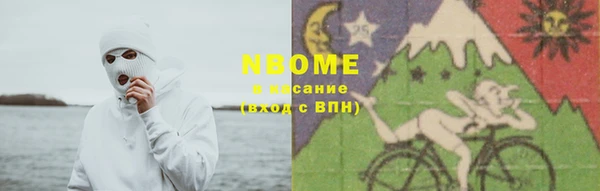 кокс Касимов