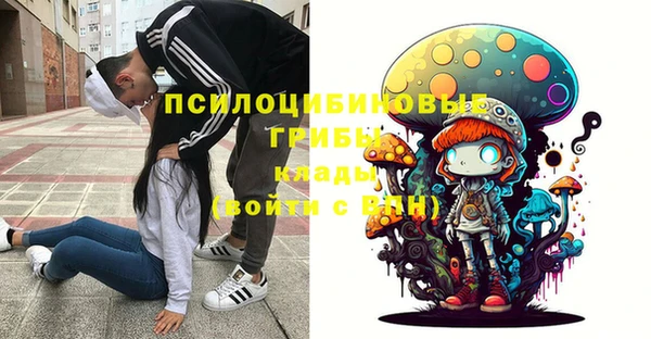 винт Карпинск
