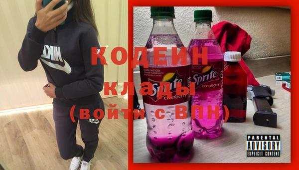 кокс Касимов